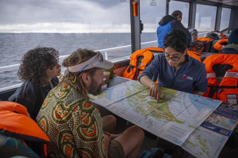 magdalena-island-penguin-watching-tour-from-punta-6