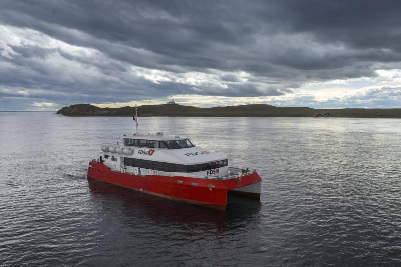 magdalena-island-penguin-watching-tour-from-punta-7