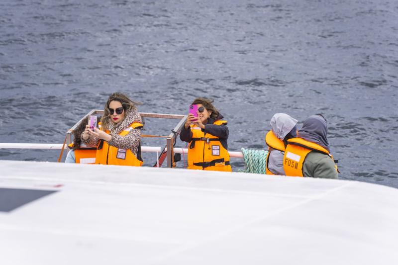 magdalena-island-penguin-watching-vip-tour-3