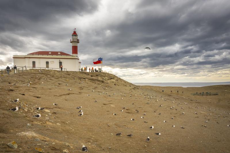 magdalena-island-penguin-watching-vip-tour-5
