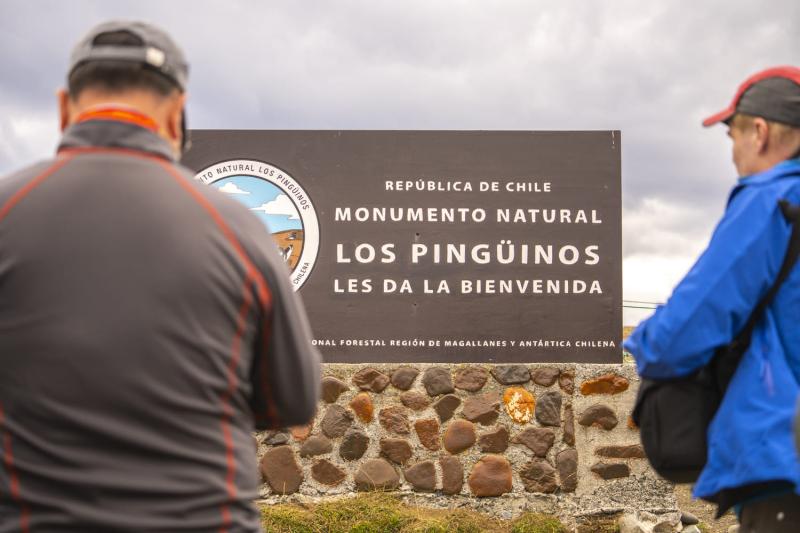 magdalena-island-penguin-watching-vip-tour-6