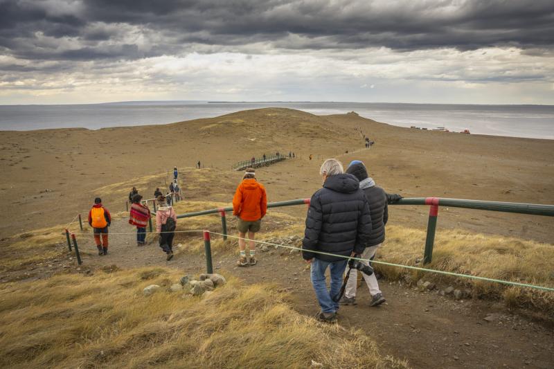 magdalena-island-penguin-watching-vip-tour-9