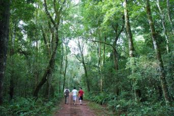 5-Day Puerto Iguazu Adventure Tour