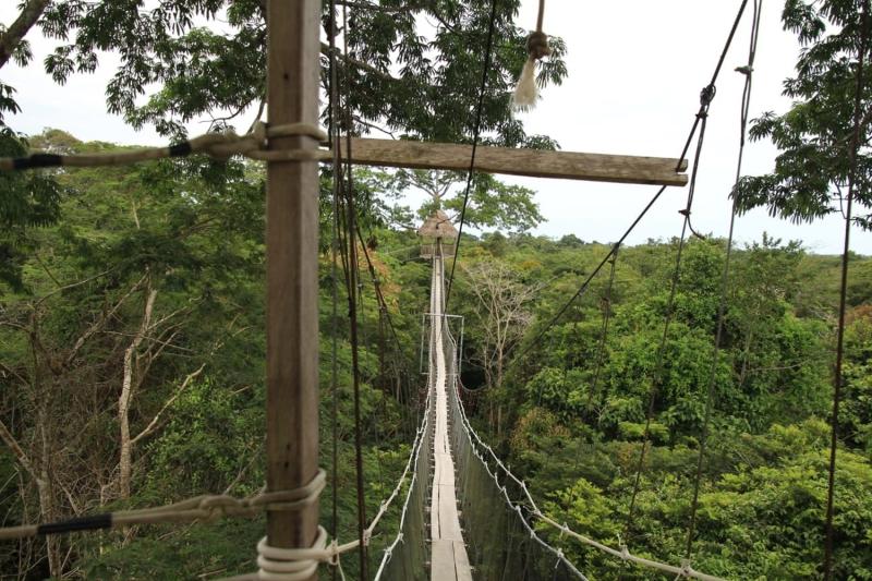 zip-line-hanging-bridge-and-animal-rescue-center-2
