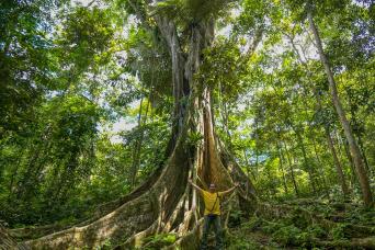 Pacaya Samiria National Reserve Full Day Tour