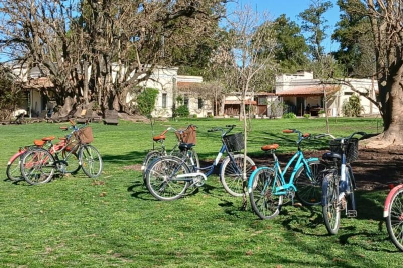 buenos-aires-countryside-estancia-day-at-el-ombu-10
