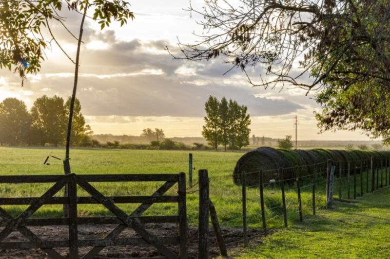 buenos-aires-countryside-estancia-day-at-el-ombu-9