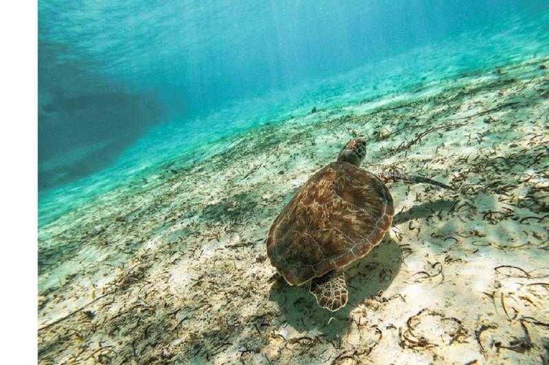 johnny-cay-and-natural-aquarium-in-san-andres-4