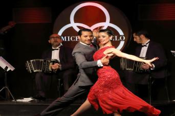 Michelangelo Dinner Show & Wine Tasting