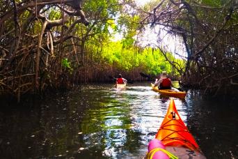 Baru Island in Kayak