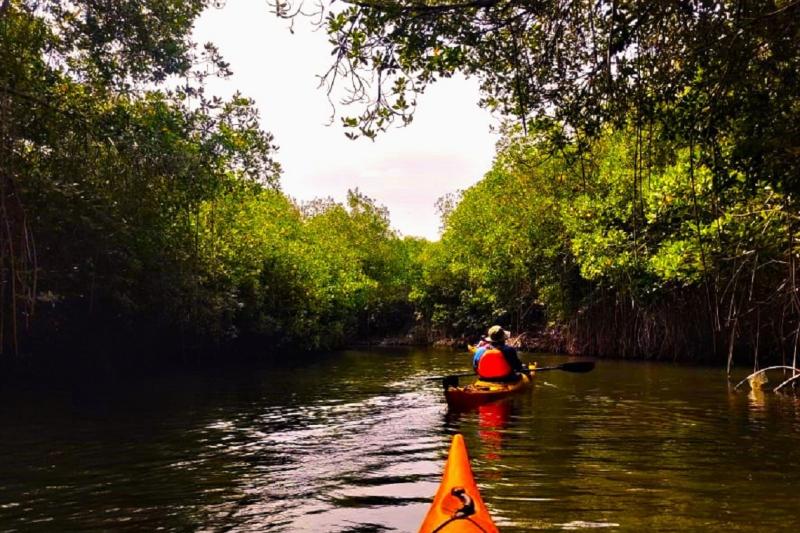 baru-island-in-kayak-4