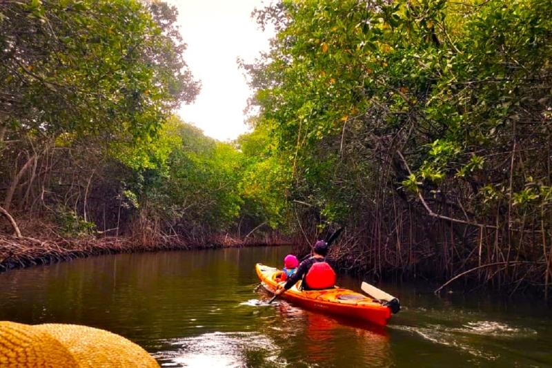 baru-island-in-kayak-5