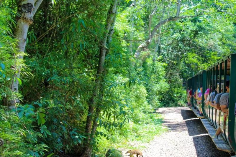 iguazu-falls-tour-with-transfers-and-entry-ticket-1