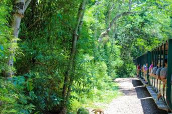 Iguazú Falls tour with transfers and entry ticket