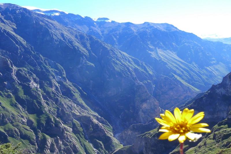 2-day-colca-canyon-trek-shared-room-transpgui-4