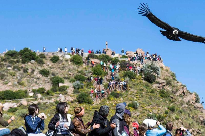 2-day-colca-canyon-trek-shared-room-transpgui-6