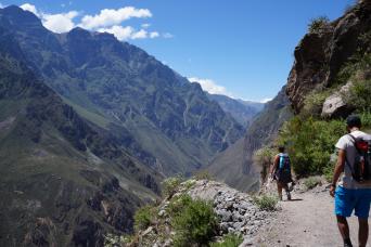 2-Day Colca Canyon Trek, Trf Puno Shared Room T/G