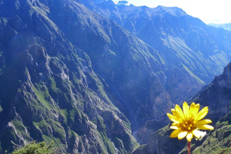 2-day-colca-canyon-trek-trf-puno-shared-room-tg-3