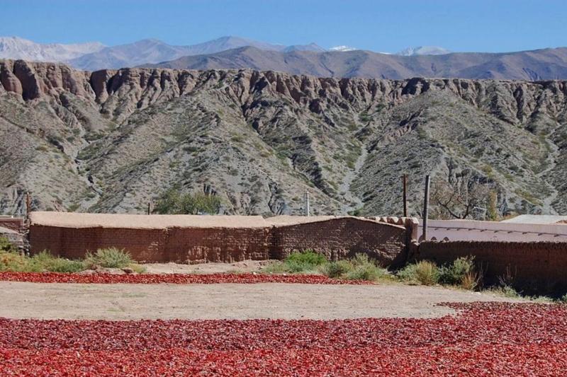 cachi-day-trip-from-salta-5