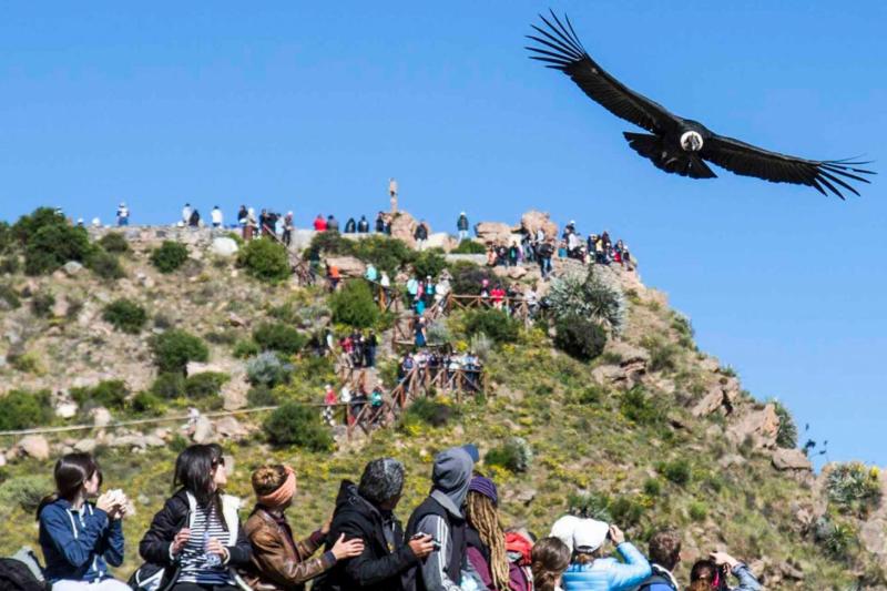 2-day-colca-canyon-trek-trf-puno-private-room-5