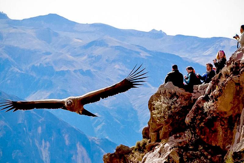 3-day-colca-canyon-trek-private-room-trgu-5