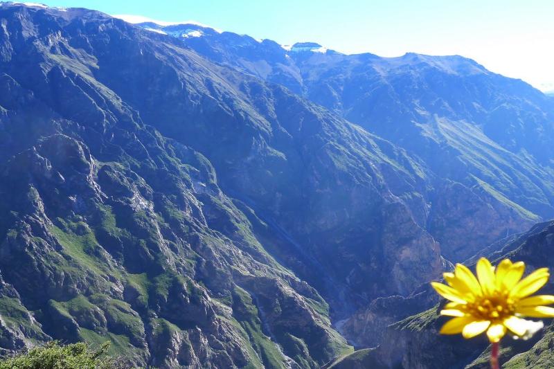 3-day-colca-trek-trf-puno-shared-room-tg-8