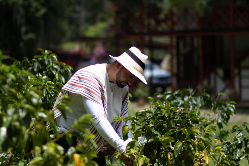 medellin-santa-elena-coffee-farm-tour-with-lunch-2