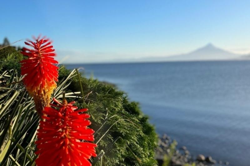 essential-city-tour-of-puerto-montt-puerto-varas-5