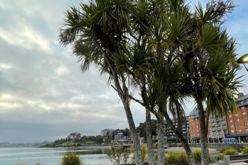 essential-city-tour-of-puerto-montt-puerto-varas-7