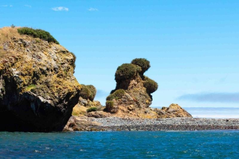 discover-ancud-punihuil-penguin-colony-7
