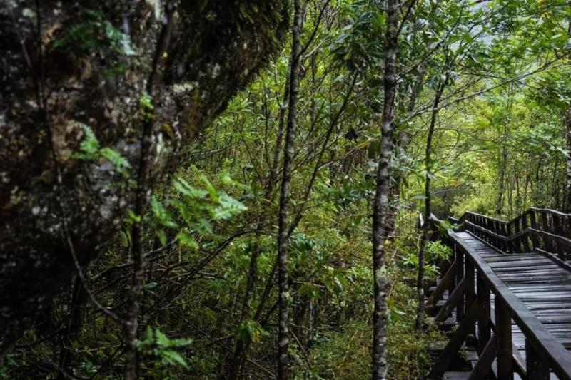 queulats-hanging-glacier-route-shared-tour-from-8