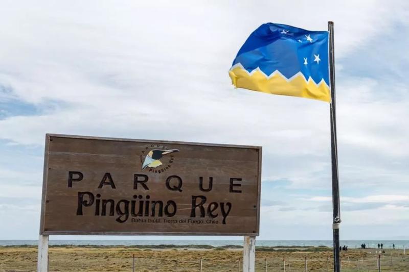 tierra-del-fuego-the-king-penguins-experience-5