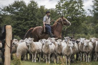 Patagonian Estancia Experience: Shearing & BBQ