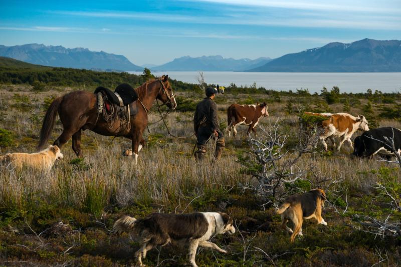 waterfall-walk-microscopic-nature-experience-5