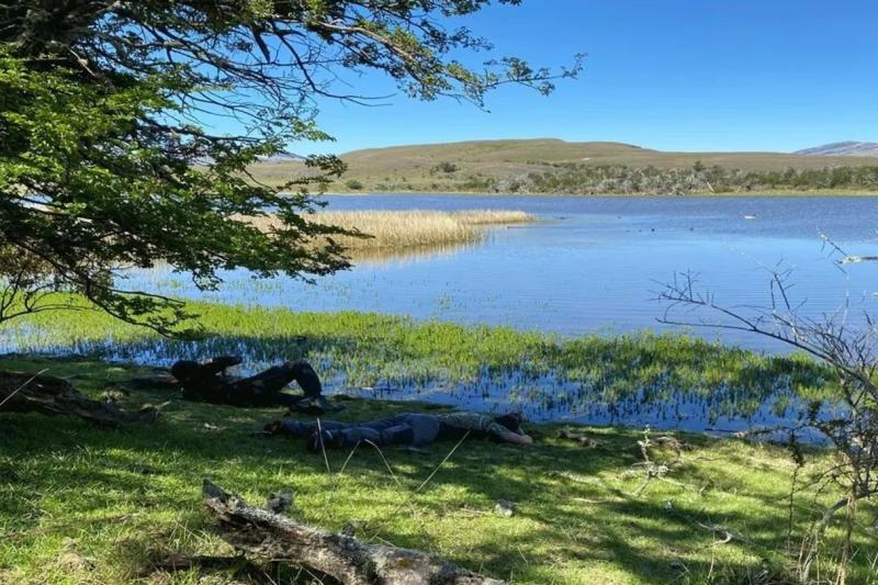 birding-in-torres-del-paine-national-park-3