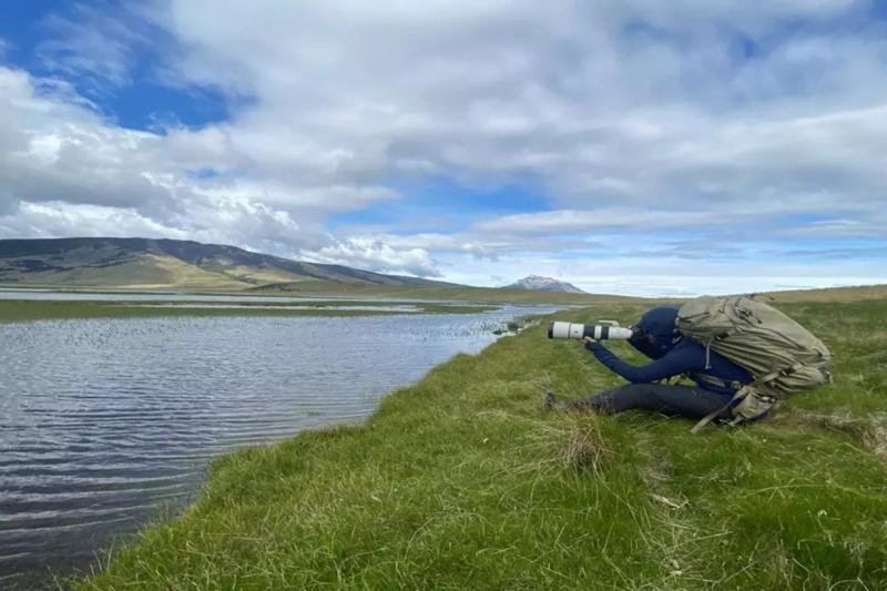birding-in-torres-del-paine-national-park-4