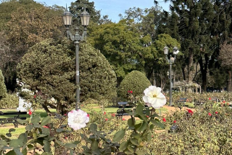 northern-buenos-aires-e-scooter-adventure-9