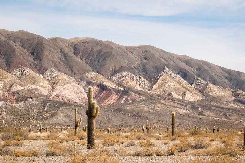 cachi-salt-flats-a-2-day-adventure-6