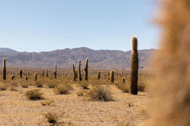cachi-salt-flats-a-2-day-adventure-9