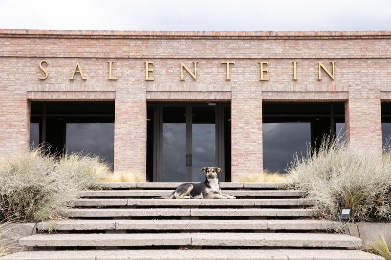 salentein-winery-experience-premium-tasting-4