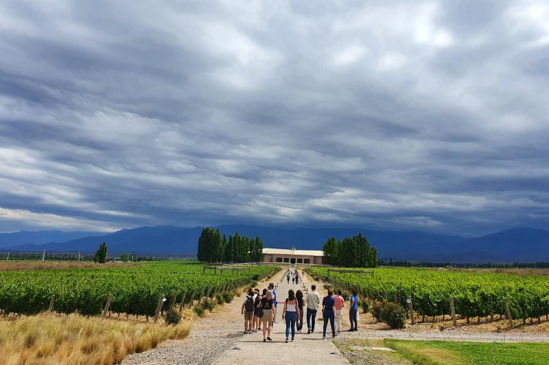 bodega-salentein-wine-tour-premium-tasting-4-c-4