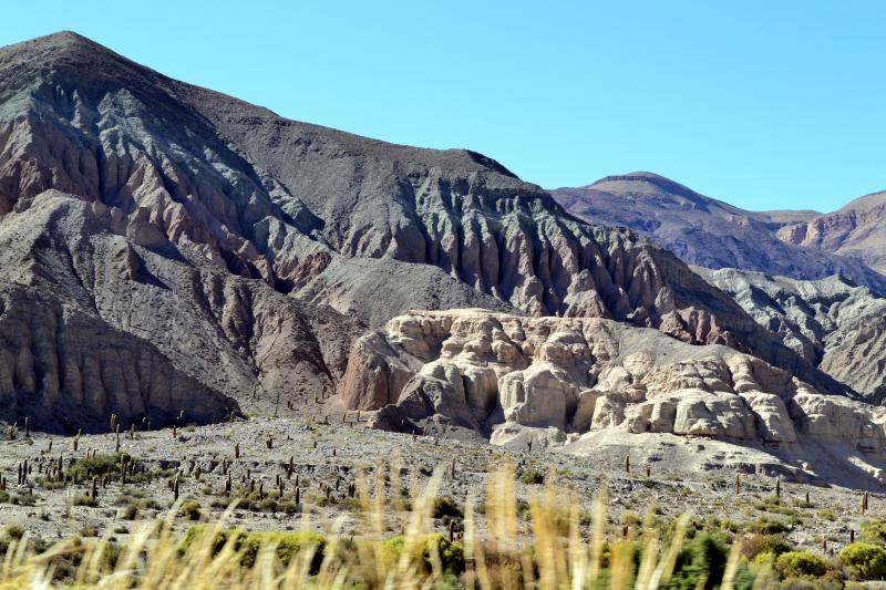bull-lagoon-and-flamingos-watching-from-salta-3