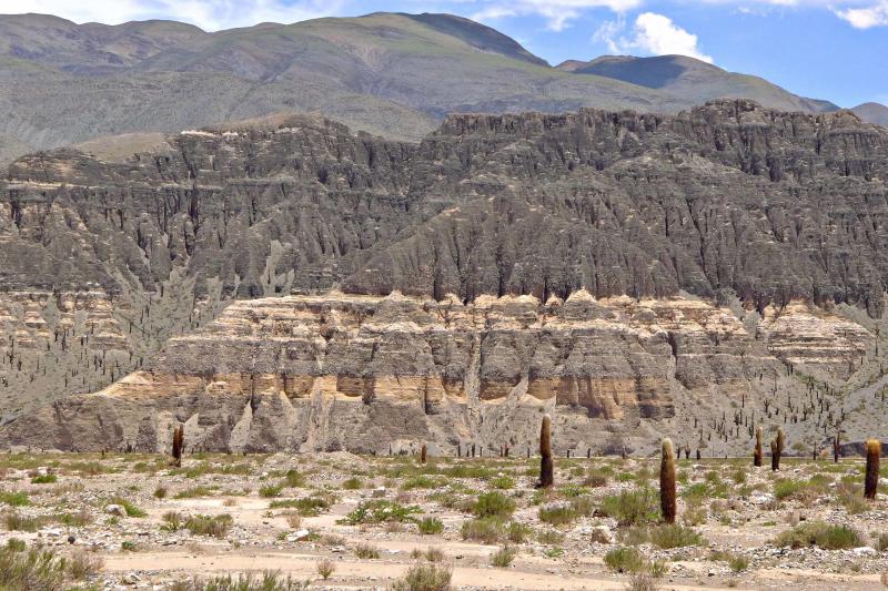 bull-lagoon-and-flamingos-watching-from-salta-6