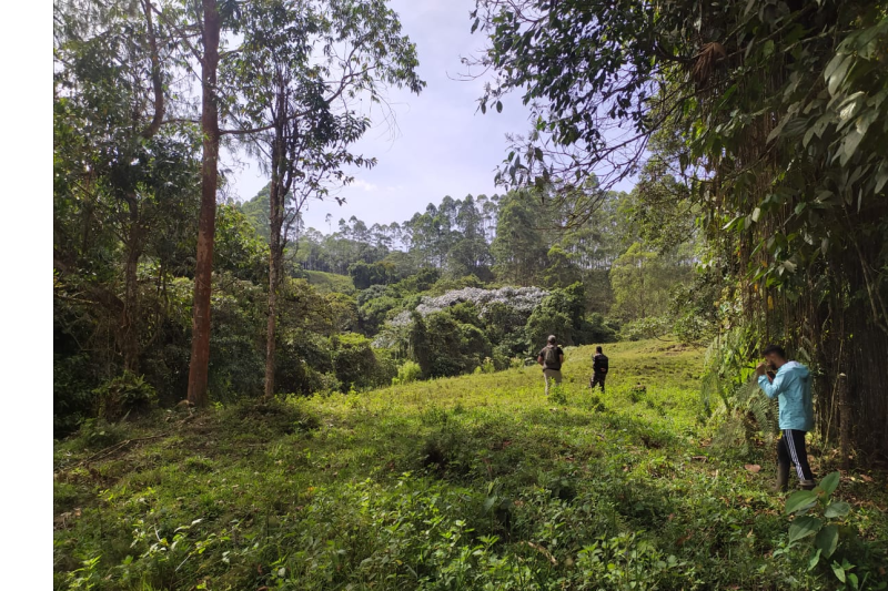 barbas-bremen-cloud-forest-hiking-tour-colombia-4