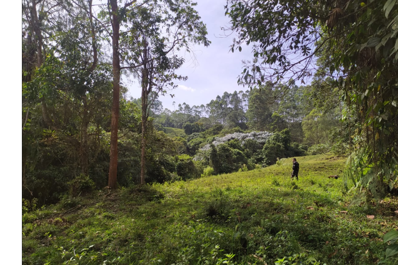 barbas-bremen-cloud-forest-hiking-tour-colombia-5