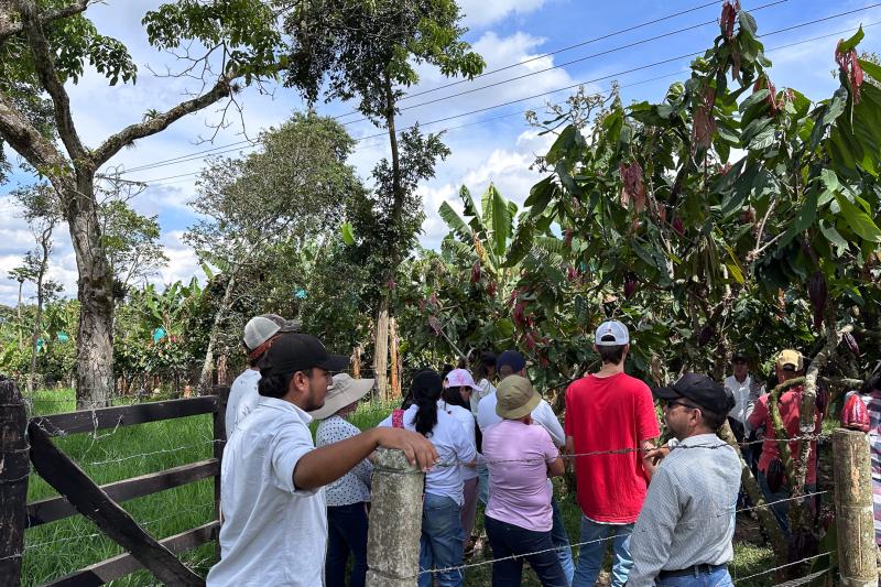 quindio-chocolate-tour-with-tastings-guide-4