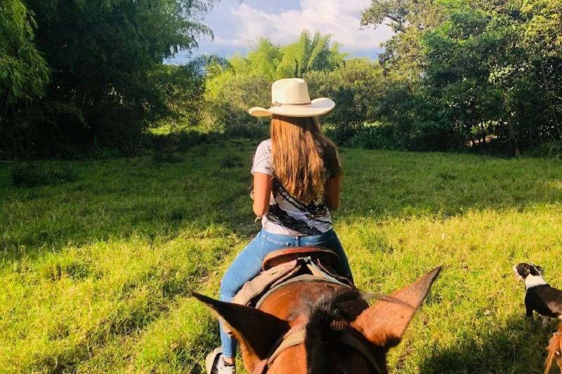 armenia-coffee-region-horseback-riding-tour-with-s-1