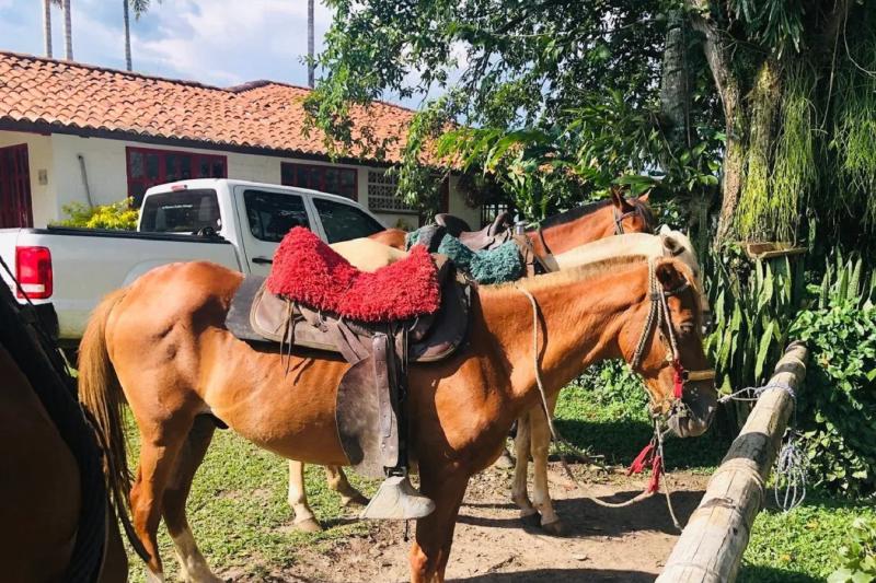 armenia-coffee-region-horseback-riding-tour-with-s-3