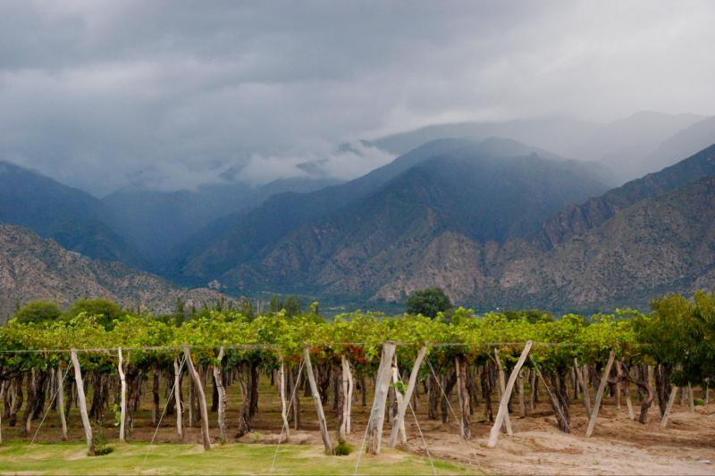 wine-route-from-salta-1