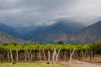 Wine Route from Salta
